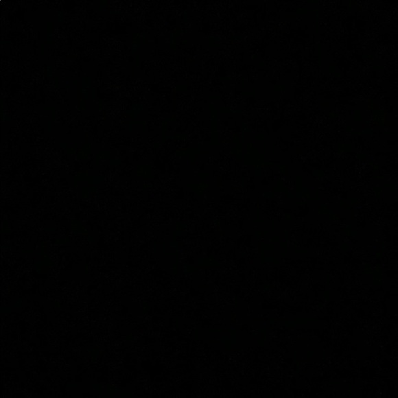 Meet your Posher, Rylie - Picture 1 of 1